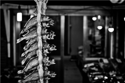 Food: Fish Attack Grades/100: 75, 78, 76